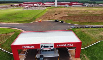 Maior frigorífico de suínos da América Latina vai investir R$ 22,4 mi em túnel de congelamento
