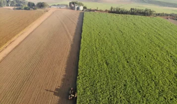 fazenda-brasilagro