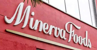 minerva foods