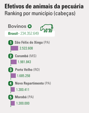 rebanho bovino