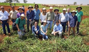 Agricultura e Pecuária