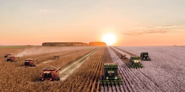 crescimento da agropecuária