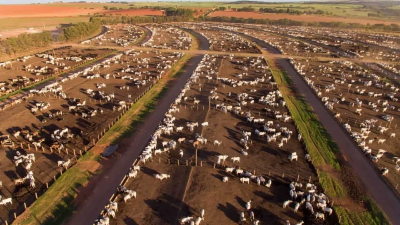 Crescimento da agropecuária