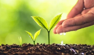 créditos de carbono - Nova política de carbono da UE alterará preços de fertilizantes e impactará compradores europeus em 2026