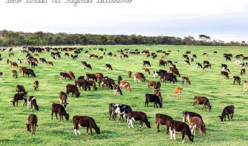 fCertificado de Cadastro de Imóvel Rural: O que é e como emitir o CCIR