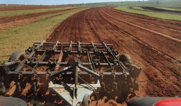 Por onde começar a reforma do pasto?