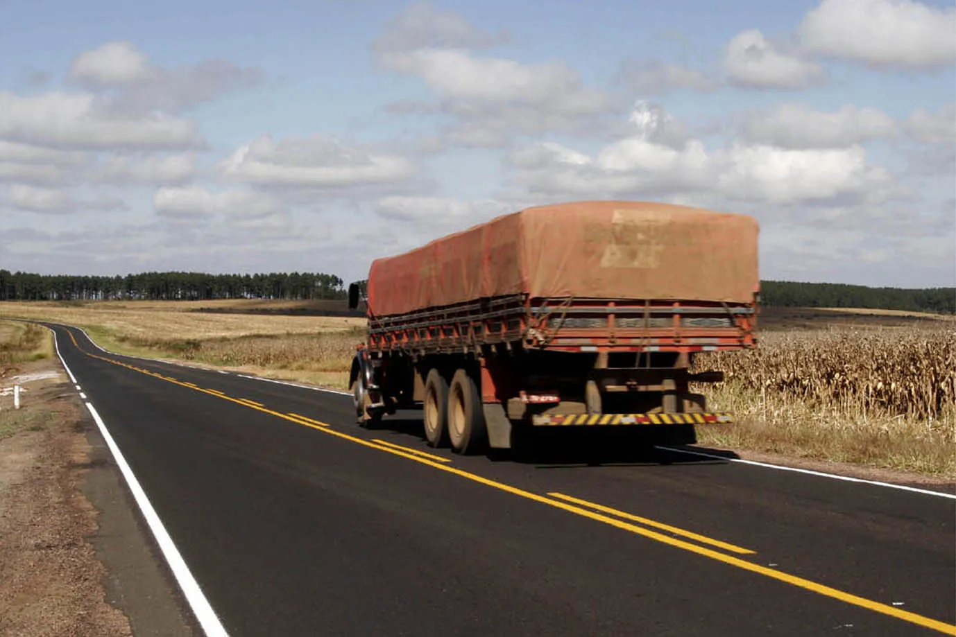 Transporte de grãos e proteínas deve atingir a marca de 450 milhões de ton até 2030