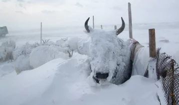 Primeira grande onda de frio é confirmada; veja onde pode nevar no Brasil