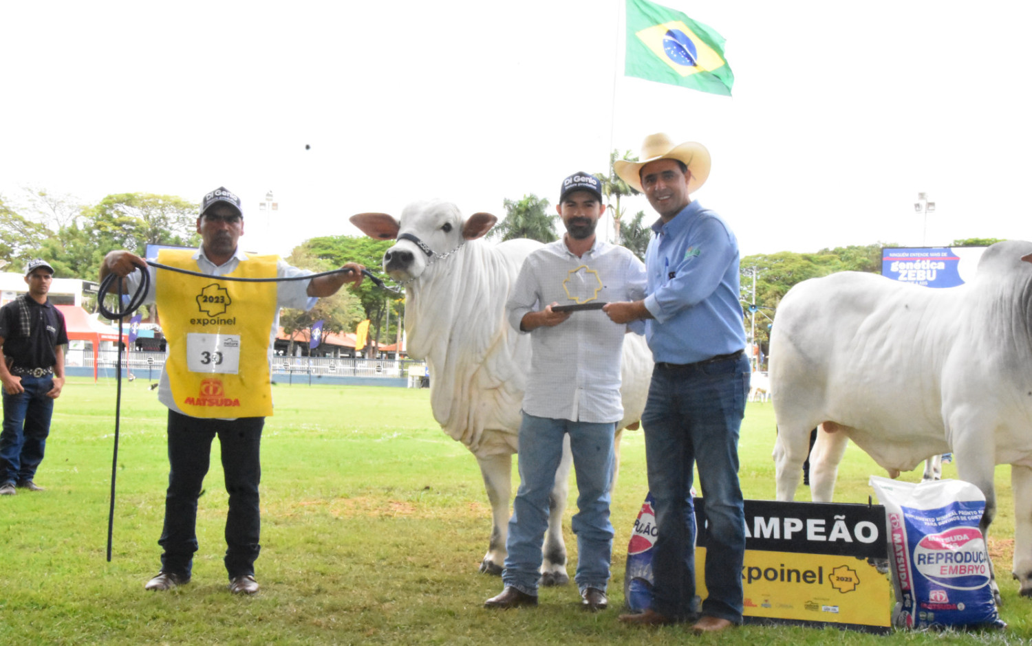 ACNB-A-melhor-Expoinel-dos-ultimos-anos-reuniu-600-animais-e-vendeu-R$-33-milhoes-em-genetica-foto-Douglas-Nascente