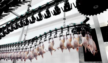 Abate de frango Halal