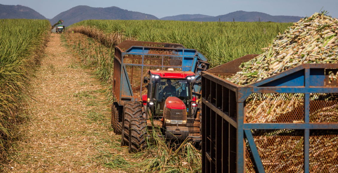 CNA visita a usina Jalles. Produzem cana-de-açucar, álcool, açúcar orgânico