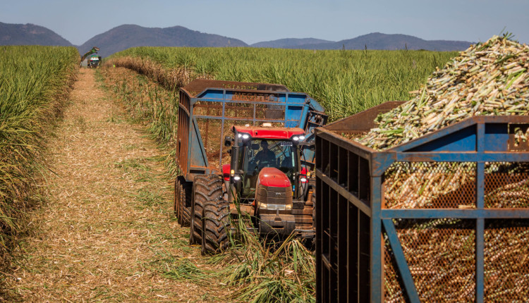 CNA visita a usina Jalles. Produzem cana-de-açucar, álcool, açúcar orgânico