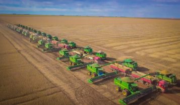 Quantas sacas de soja se produz por hectare?
