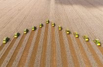 Ranking Matopiba: Os 8 municípios da fronteira agrícola que mais valorizaram nos últimos 12 meses