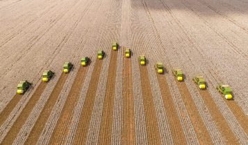 Ranking Matopiba: Os 8 municípios da fronteira agrícola que mais valorizaram nos últimos 12 meses