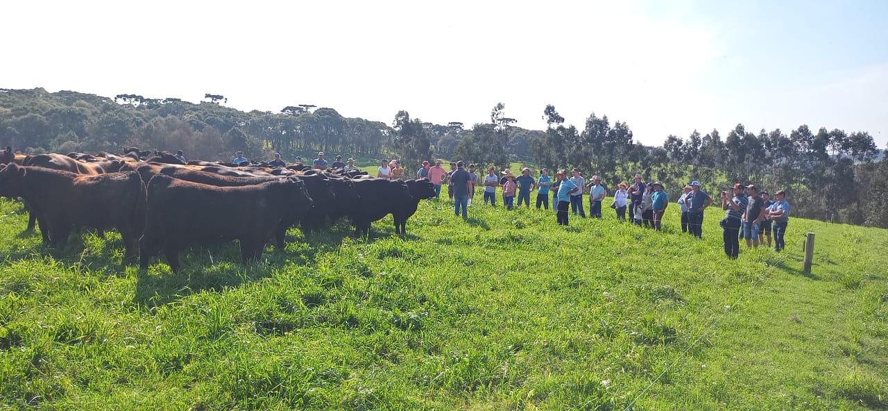 Fazenda Brasil Florestal, em Itaiópolis