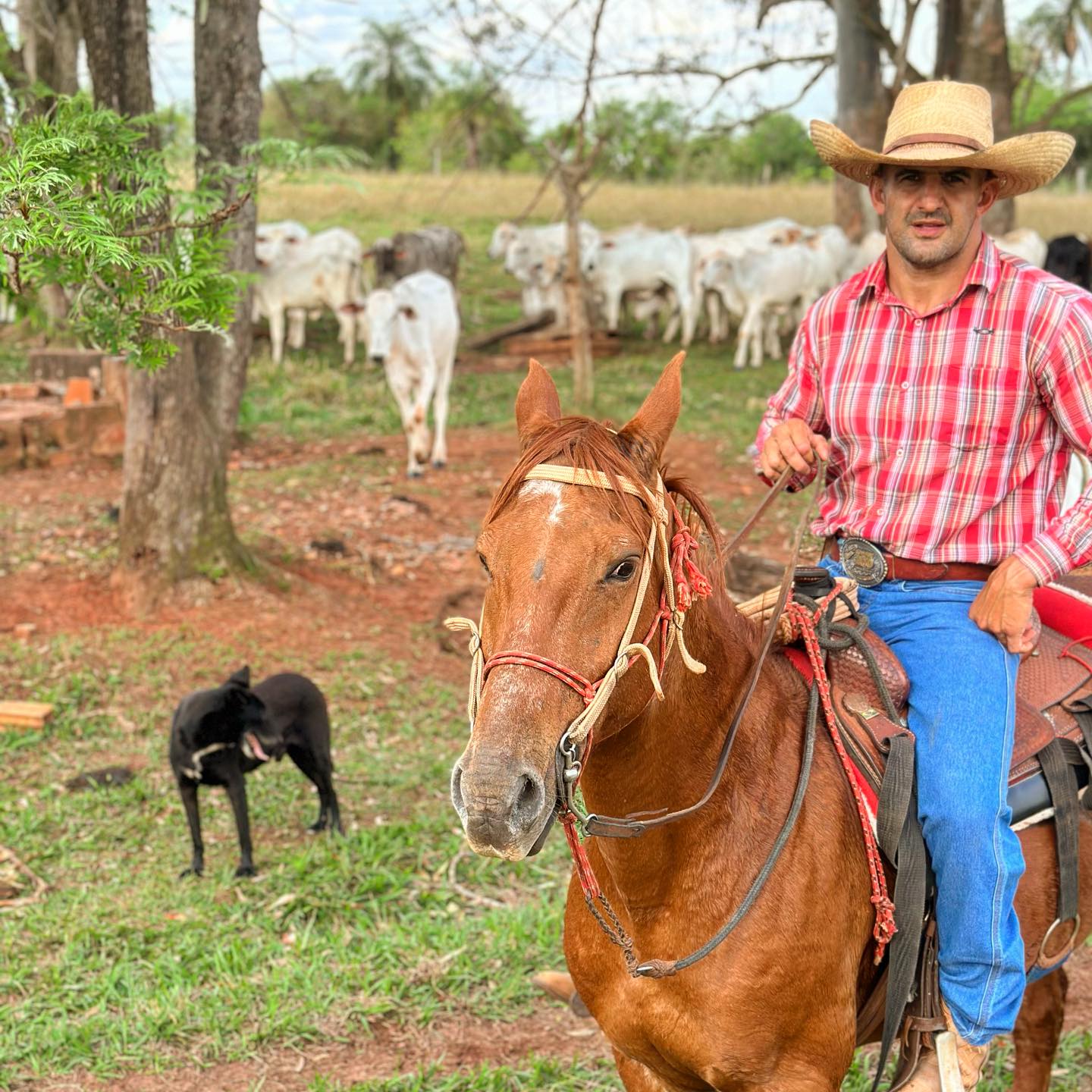 Fernando Rufino Cowboy De Aço