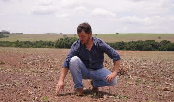 Giacomelli mostra os efeitos da falta de chuva em área semeada no início do plantio dessa safra 23-24 / Foto: Assessoria Aprosoja