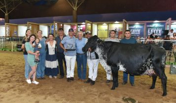Grande Campeã Suprema da Raça Girolando