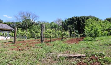 Programa coloca no mapa 35 mil propriedades que não possuíam CEP