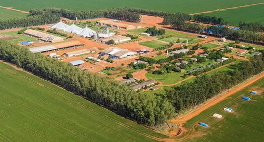 Gigantes Rurais As Cinco Maiores Fazendas Do Brasil — Comprerural 