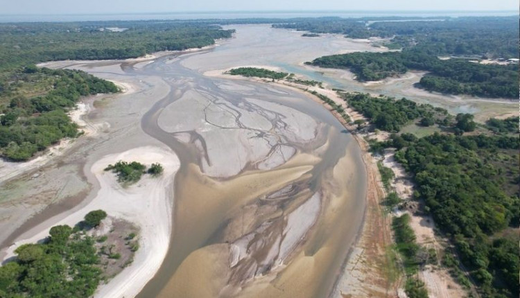 Seca se intensifica e rio Negro registra novo recorde negativo de nível da água