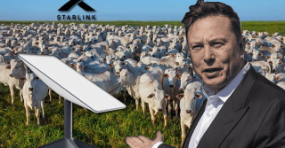 Elon Musk e Starlink