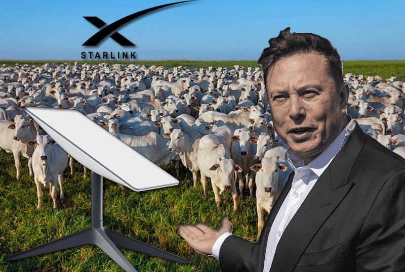 Elon Musk e Starlink