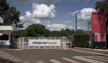 Minerva Foods