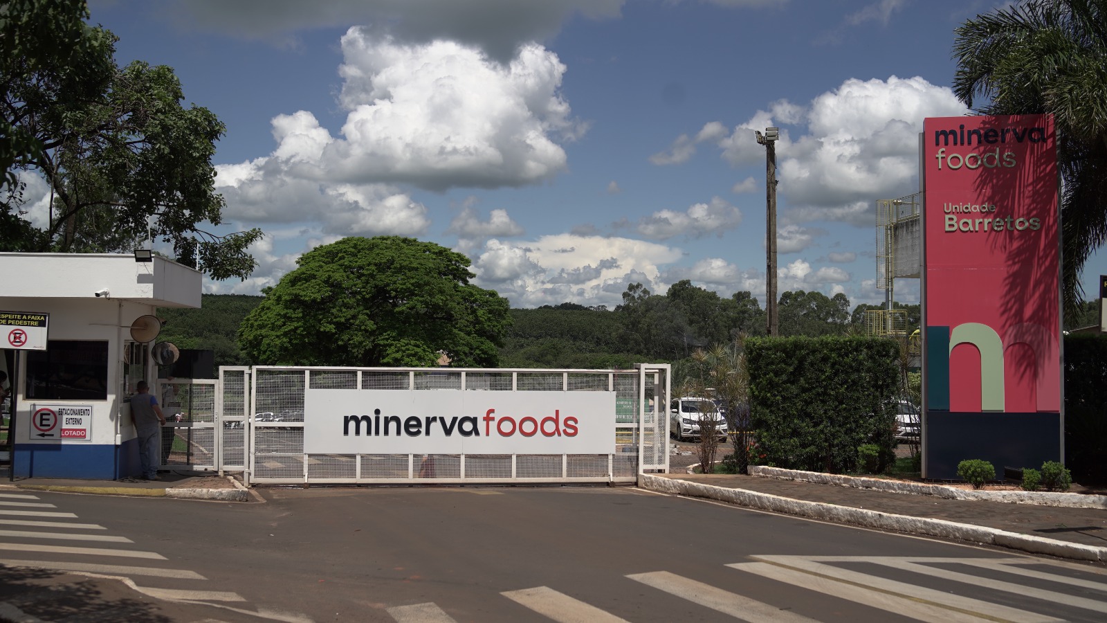 Minerva Foods