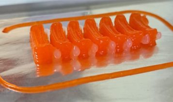 Pesquisadores usam impressão 3D para produzir arquivos analógicos aos de pescado