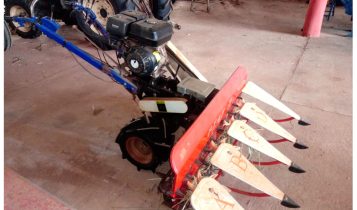 Máquinas para agricultura familiar devem ser eficientes e sustentáveis, diz estudo