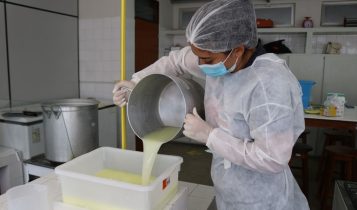 Processamento do queijo de cabra artesanal