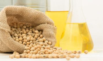 as perspectivas para o agro em 2024