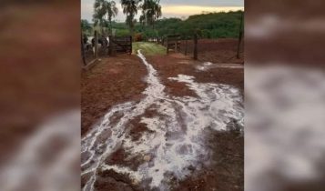 Produtora perde leite em Goiás