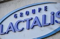 Lactalis anuncia investimento de R$ 313 milhões em fábricas no Paraná