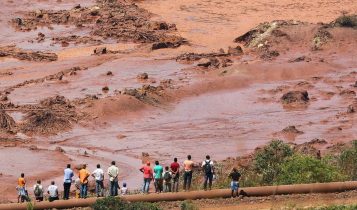 recuperação florestal