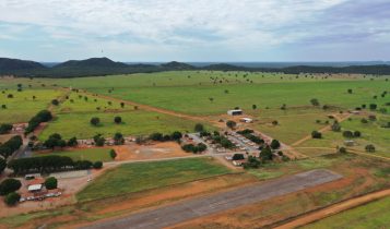 Fazenda degradada de MS deu a volta por cima e passou a ser uma das mais produtivas do Brasil.