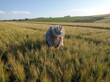 agricultores e investidores