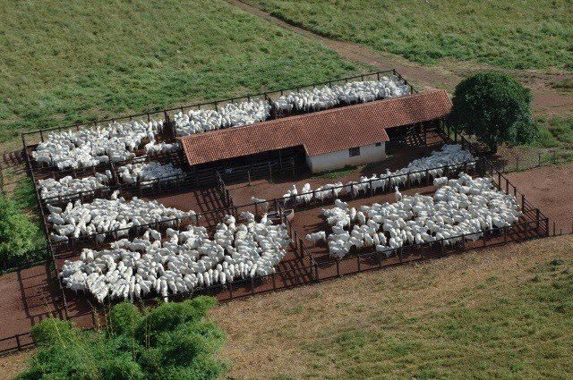 Fazenda Vera Cruz 