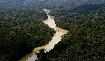 Amazônia