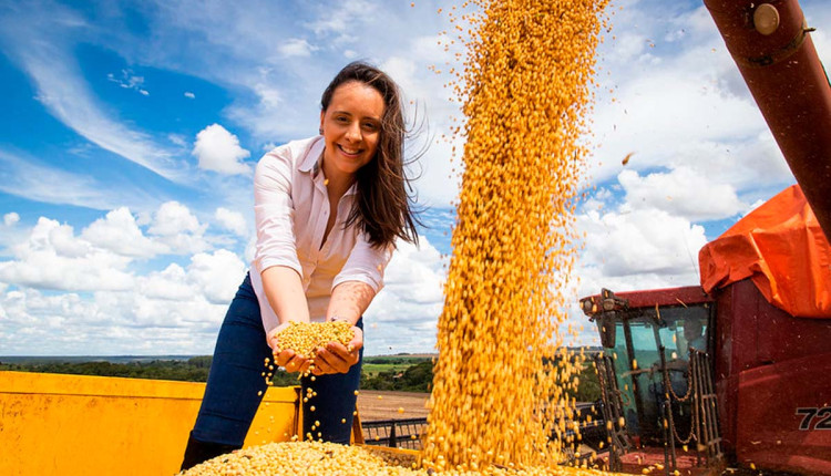 Alguns são curiosos, outros surpreendem pela magnitude dos números, mas todos são de interesse geral. Confira algumas curiosidades sobre o agro que você precisa conhecer!