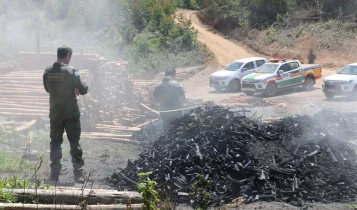 Operação Amazônia em pé fiscaliza o desmatamento na região