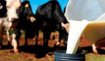 preço do leite - Por que o Leite é tão mais barato no Uruguai? Lições para a produção de leite Brasileira