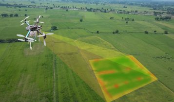 Transformação digital é o caminho para o agronegócio