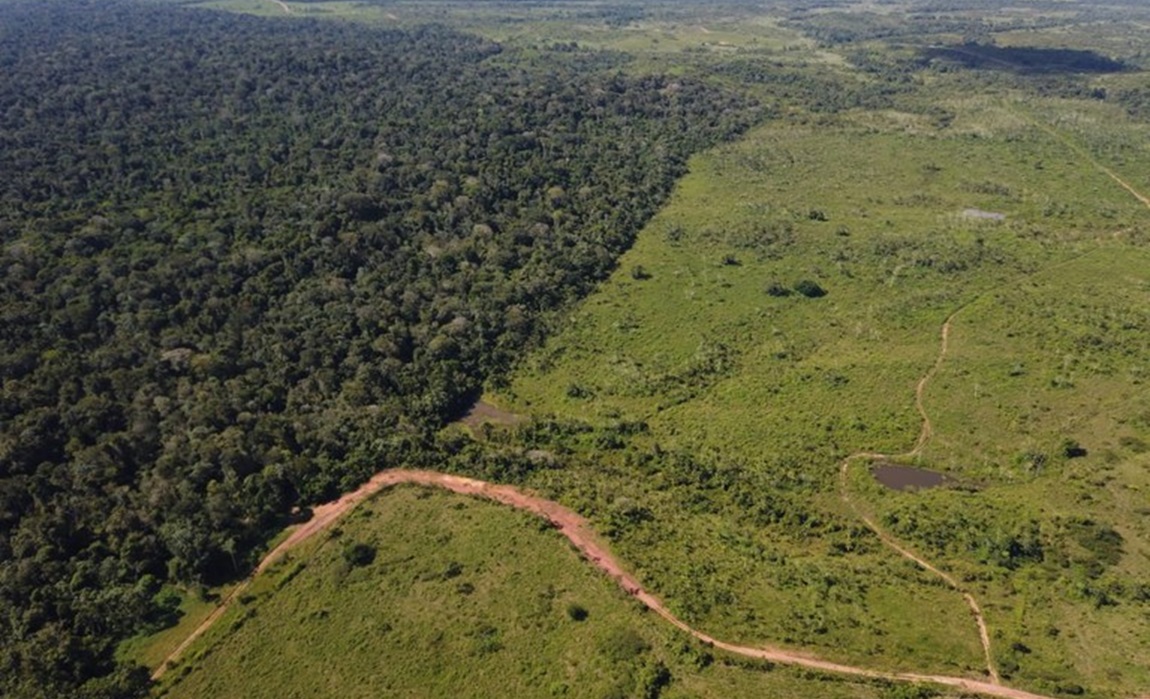 terra indígena