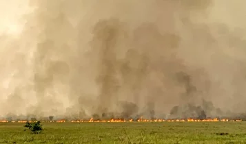 incendios