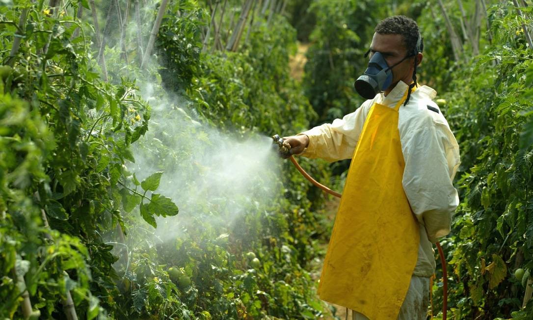 Mapa autoriza aplicação em plantas de 21 novos inseticidas à base de imidacloprido