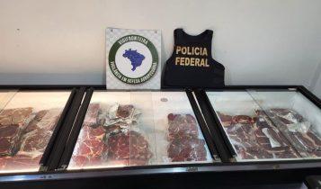 Em Foz do Iguaçu, 53ª Operação Ronda Agro combate contrabando de carnes na fronteira