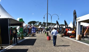 Acontece na próxima semana em Curitibanos o maior evento florestal, madeireiro e de silvicultura da região